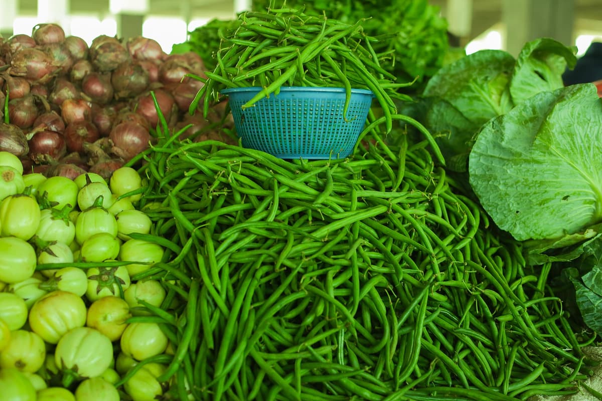 Fresh beans, onions, and leafy vegetables selected for weekly cooking