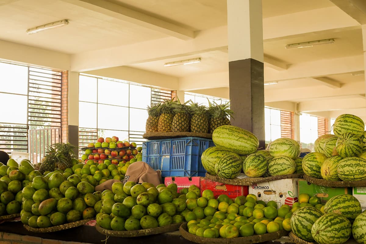 Fresh mixed fruit selected for everyday weekly snacking